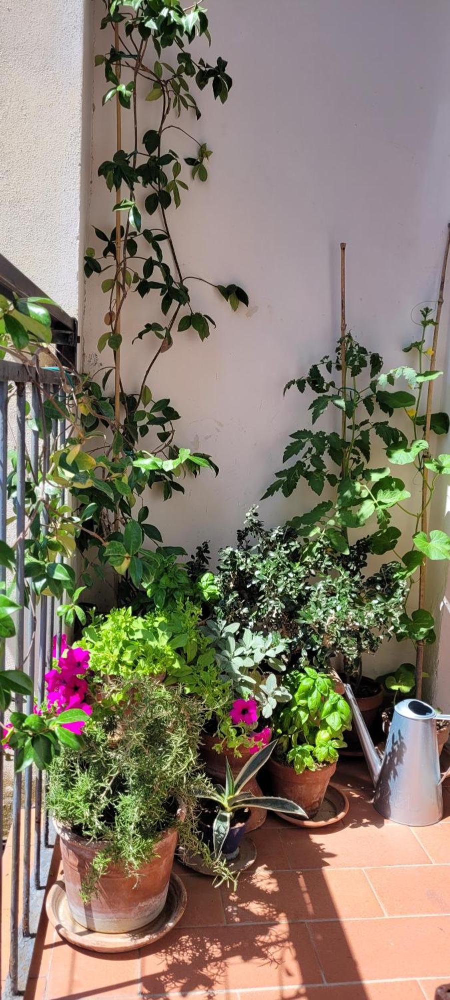 Appartement Vista Su Giardini Storici In Oltrarno à Florence Extérieur photo